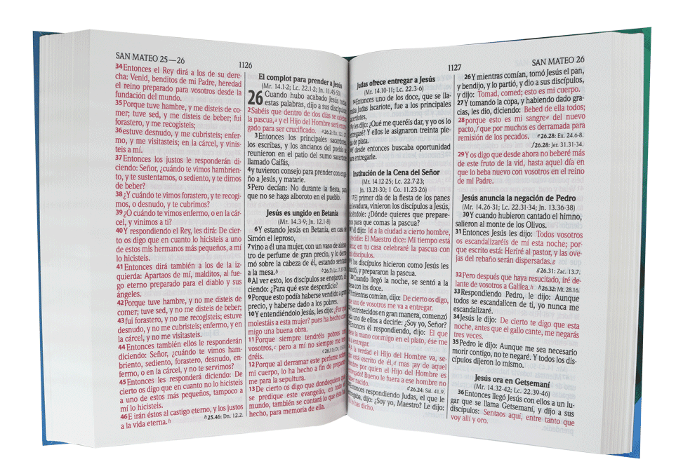 Biblia Reina Valera 1960 Letra Gigante PJR Ilustrada