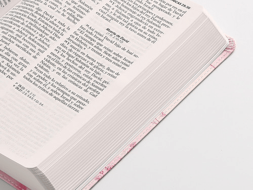 Biblia Reina Valera 1960 Letra Grande PJR Flex Flores Rosas