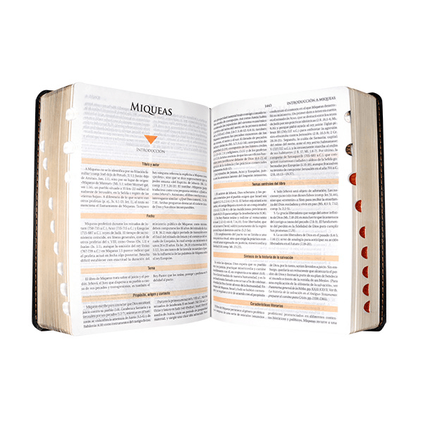 Biblia de Estudio Teológico Reina Valera 1960 Indice Concordancia Negro Tamaño Personal 14 x 21 cm