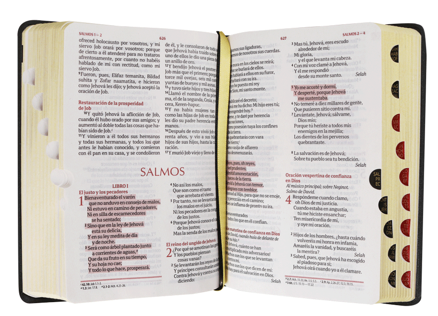 Biblia Reina Valera 1960 Letra Mayor Fb Indice Concordancia