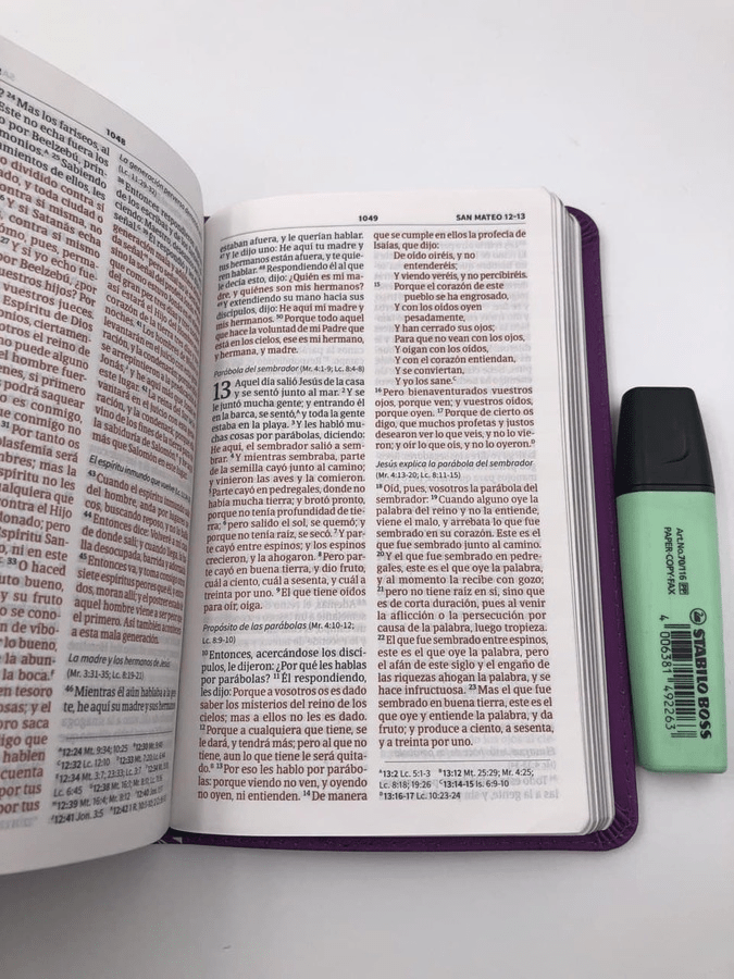 Biblia Reina Valera 1960 Mis Quince Lila