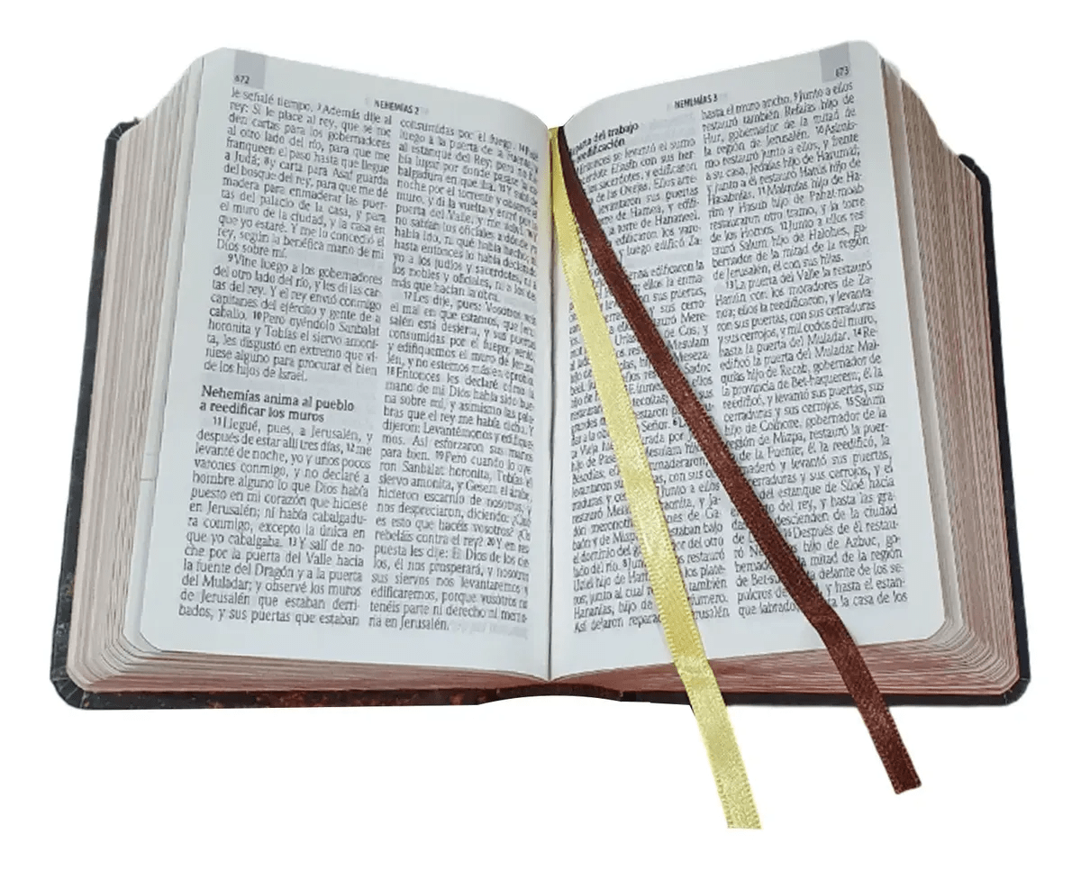Biblia Reina Valera 1960 letra Estándar pjr Tapa Dura colores Piedra