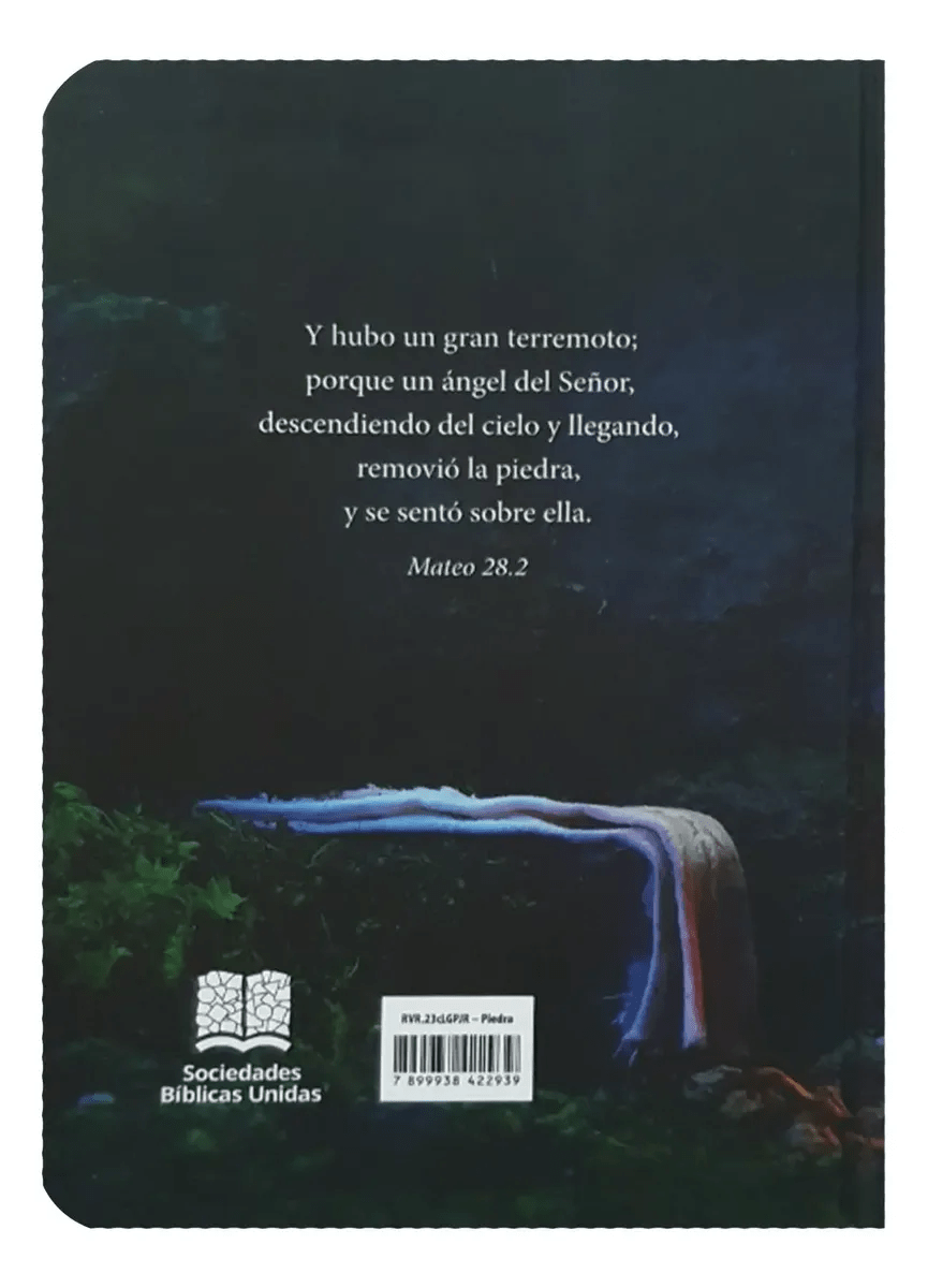 Biblia Reina Valera 1960 letra Estándar pjr Tapa Dura colores Piedra
