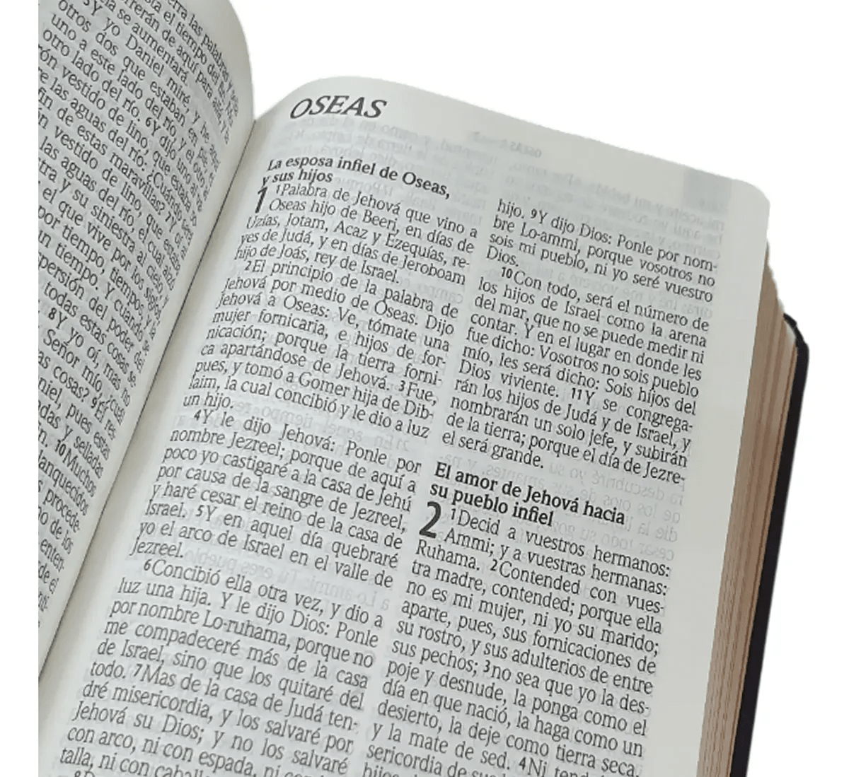 Biblia Reina Valera 1960 letra Estándar pjr Tapa Dura colores Piedra