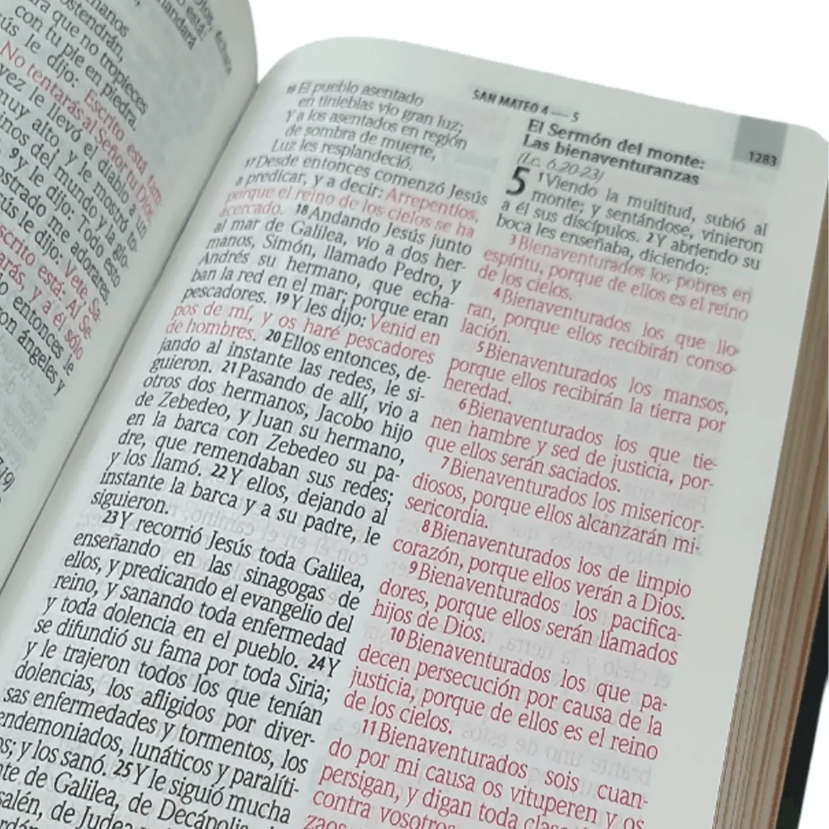 Biblia Reina Valera 1960 letra Estándar pjr Tapa Dura colores Piedra