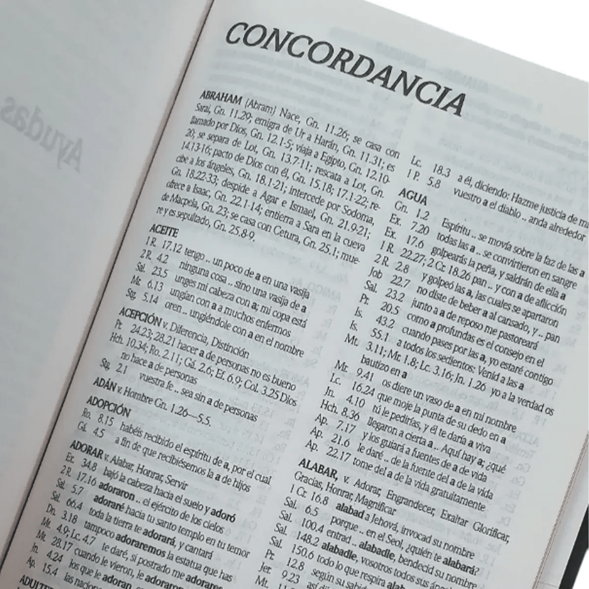 Biblia Reina Valera 1960 letra Estándar pjr Tapa Dura colores Piedra
