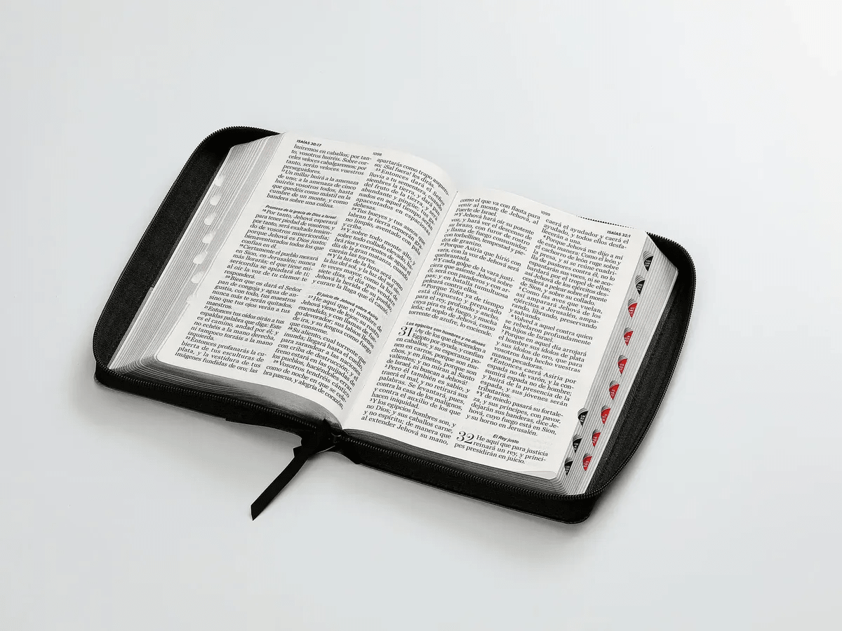 Biblia Reina Valera 1960 · 13,8x21,2 cm · Letra gigante 14 pt · Con cierre e índice · Colección Iconic negro y gris