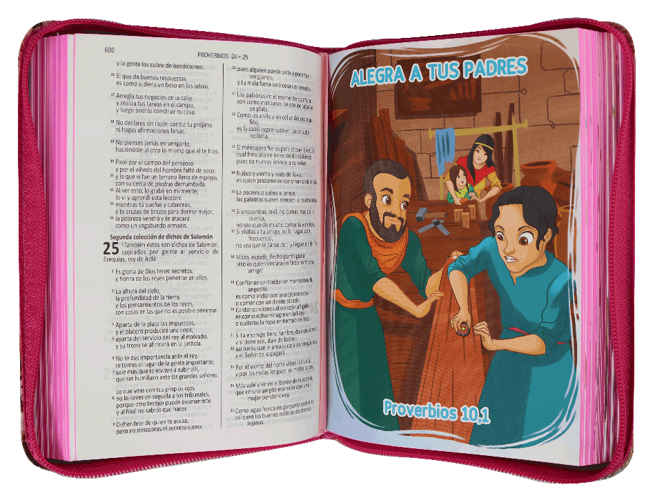 BIBLIA DHH042DkZP L 8p 11x16 T PLASTICA CIERRE ILUSTRADA ROSA VALIENTES CONJESÚS CON DEUTEROCANÓNICOS