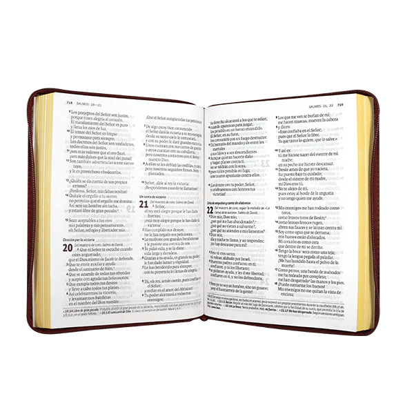 Biblia Dios Habla Hoy letra gigante imitación piel vino tinto cierre canto pintado con deuterocanónicos
