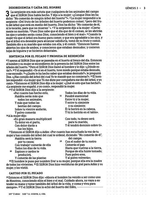 Nueva Biblia de las Américas Edición Artística Tapa Dura/Tela Arte Con Bordes Dorados Palabras De Jesús En Rojo