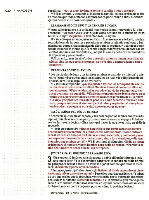 Nueva Biblia de las Américas Edición Artística Tapa Dura/Tela Arte Con Bordes Dorados Palabras De Jesús En Rojo