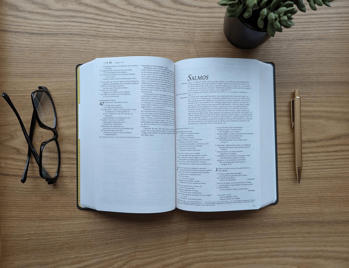 Biblia Nueva Traducción Viviente Edición Premio y Regalo Vinil Negro
