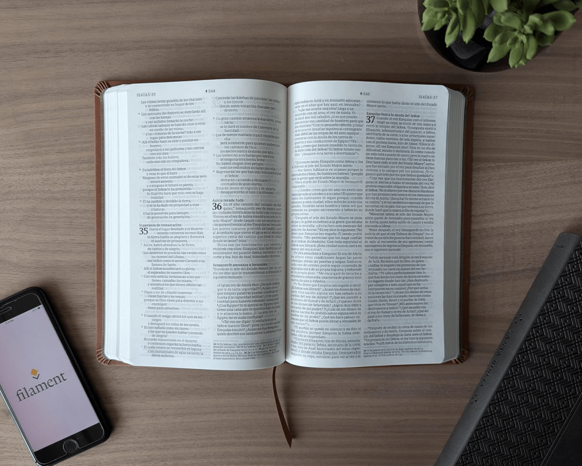 Biblia Nueva Traducción Viviente (NTV), Letra 8,25 Pt, 13,5×21,5, Con Filament, Tapa PU, Marrón