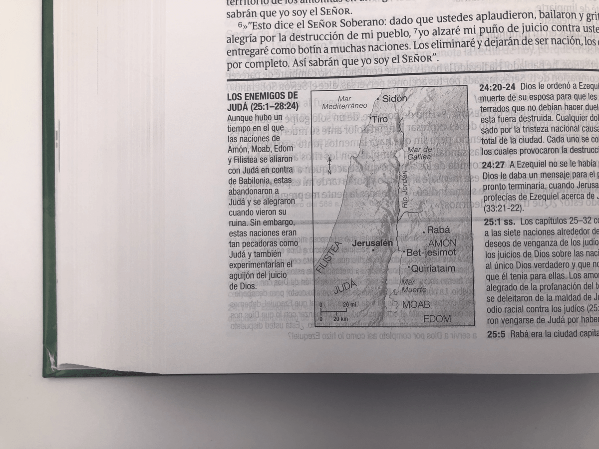 Biblia De Estudio Diario Vivir Nueva Traducción Viviente Tapa dura