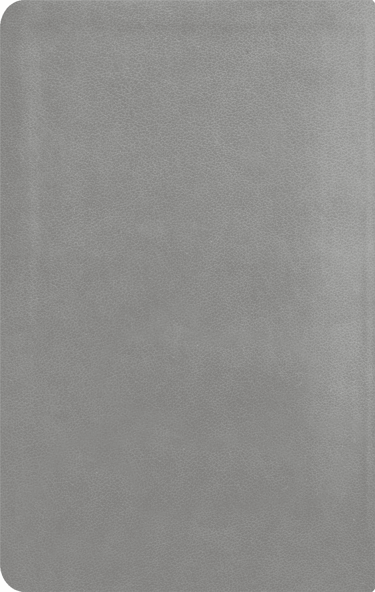 La Biblia De Estudio De La Reforma Nueva Biblia de las Americas  Edicion Condensada Simil Piel Gris
