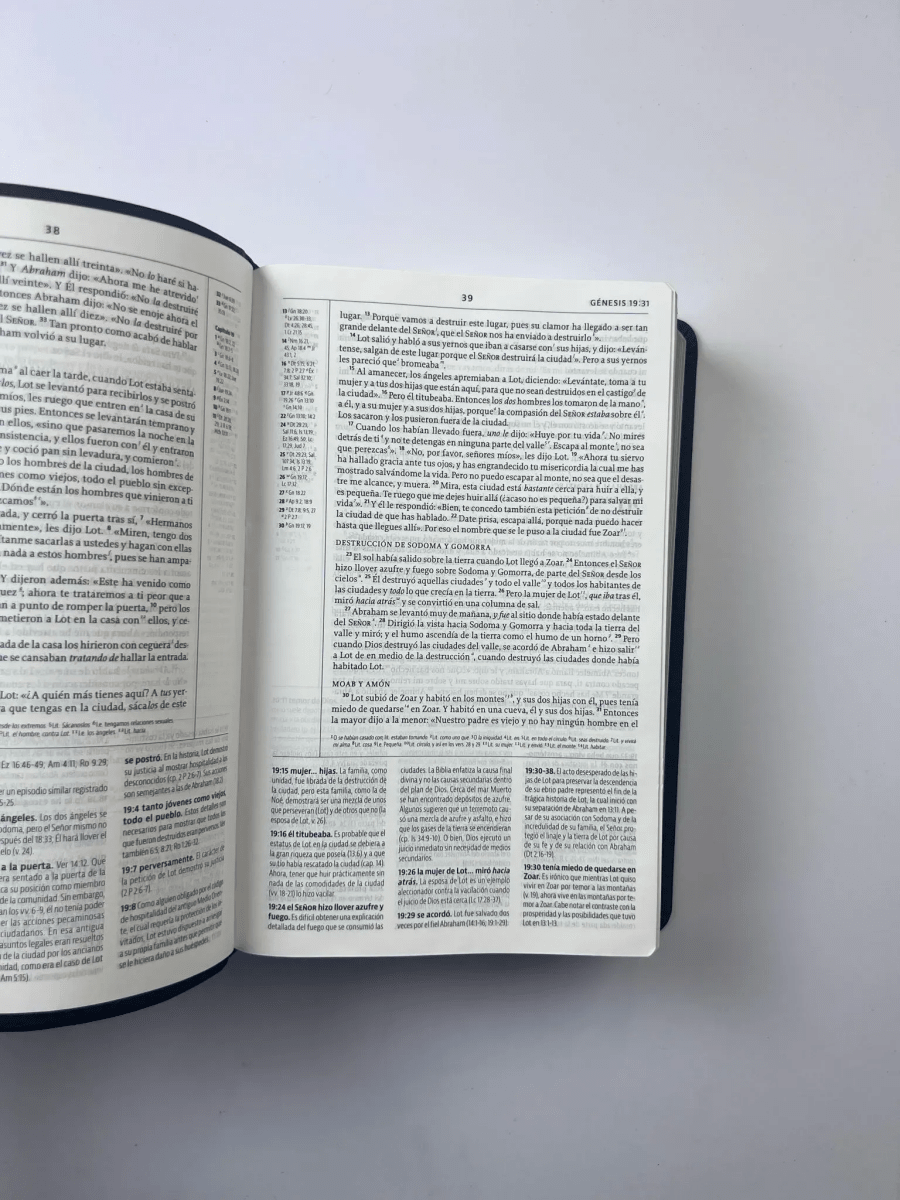 La Biblia De Estudio De La Reforma Nueva Biblia de las Americas  Edicion Condensada Simil Piel Gris