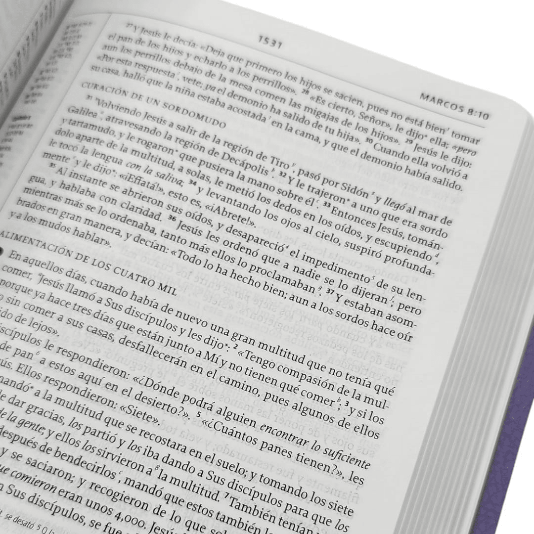La Biblia De Estudio De La Reforma Nueva Biblia de las Américas Tapa Pu Morado