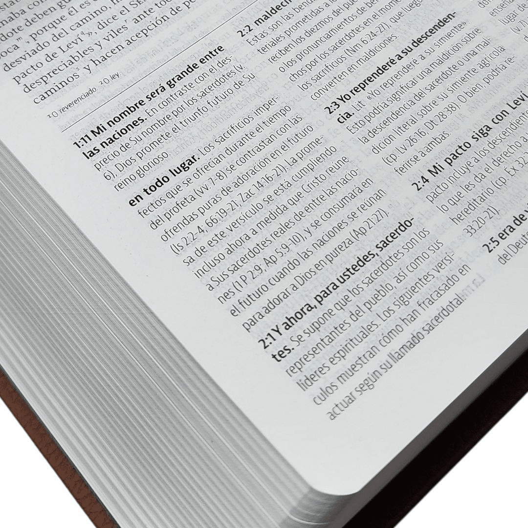 La Biblia De Estudio De La Reforma Nueva Biblia de las Amercias Edicion Condensada Simil Piel Café