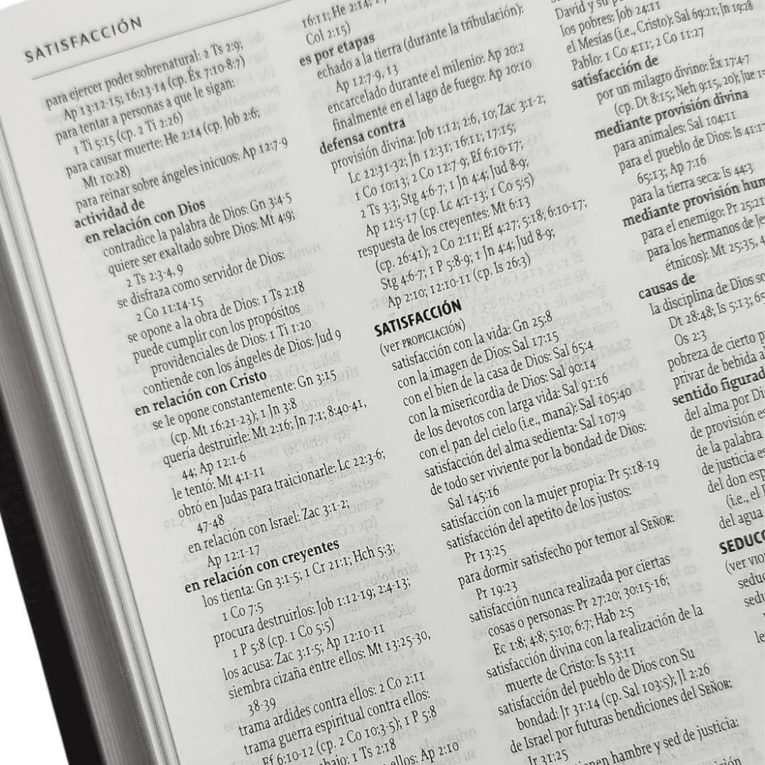 La Biblia De Estudio De La Reforma Nueva Biblia de las Americas Edicion Condensada Piel Genuina Café
