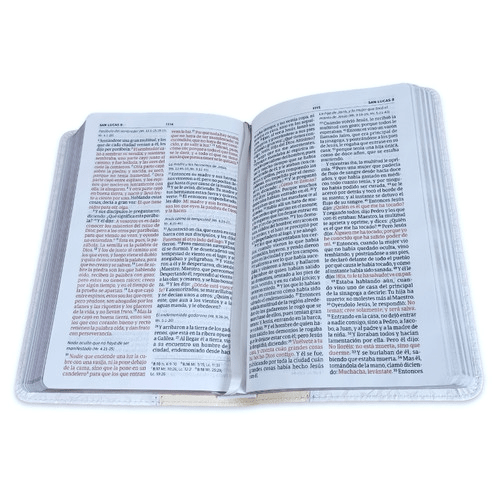 Biblia Reina Valera 1960 Recuerdo De Boda Filigrana Blanca/Rosa Palo Simil Piel