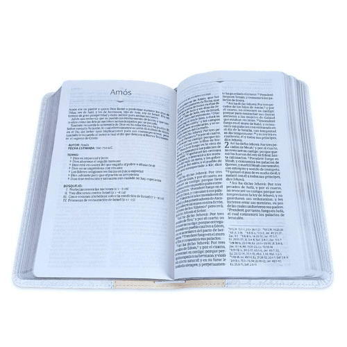 Biblia Reina Valera 1960 Recuerdo De Boda Filigrana Blanca/Rosa Palo Simil Piel