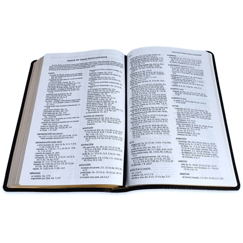 Biblia Reina Valera 1960 De Estudio Scofield Negro Simil Piel