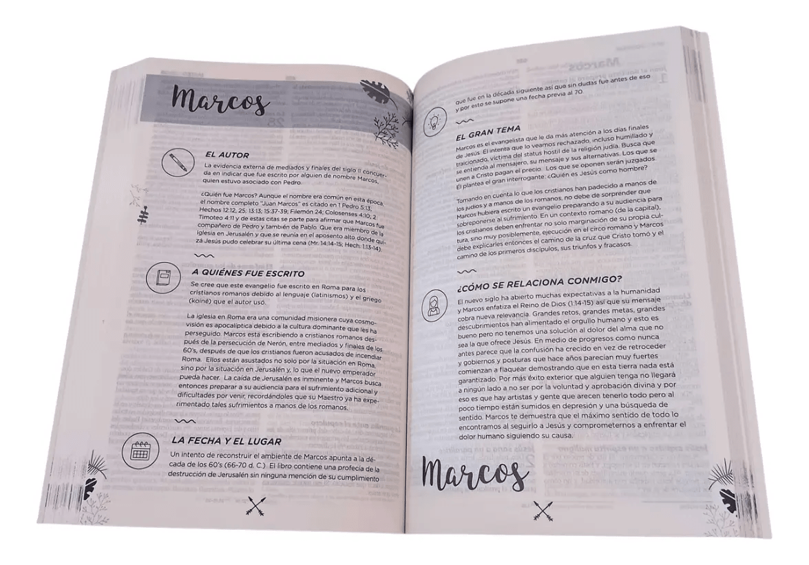 Biblia Para Chicas Nueva Biblia Viva Tapa Rústica