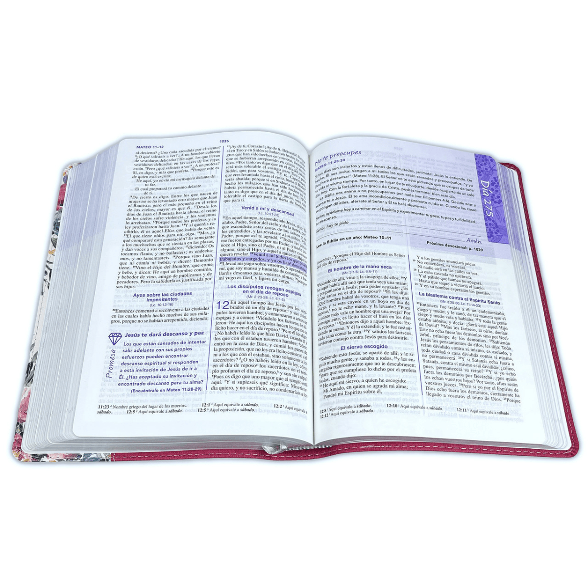 Biblia De Estudio Una Jóven Conforme Al Corazón De Dios Flor Tapa simil piel