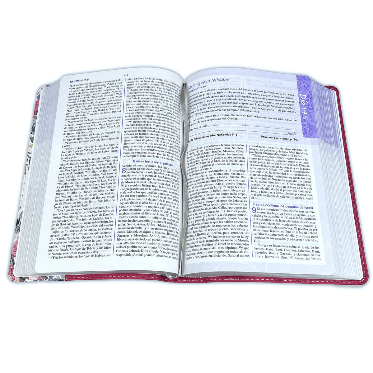 Biblia De Estudio Una Jóven Conforme Al Corazón De Dios Flor Tapa simil piel