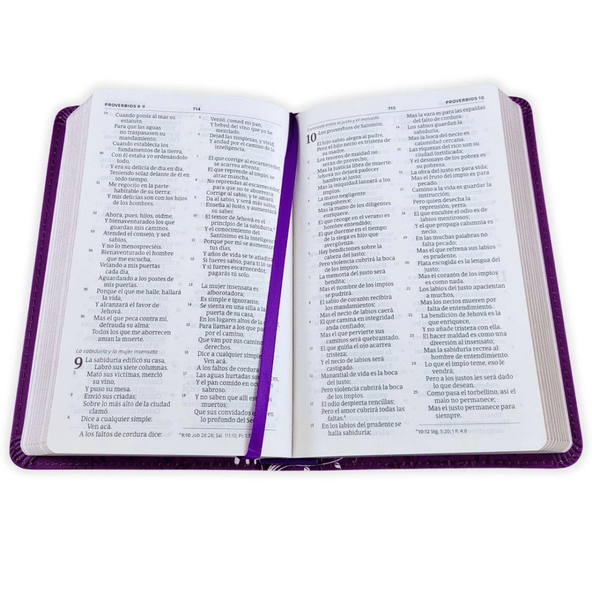 Biblia Reina-Valera 1960 (RVR60) Mis Quince