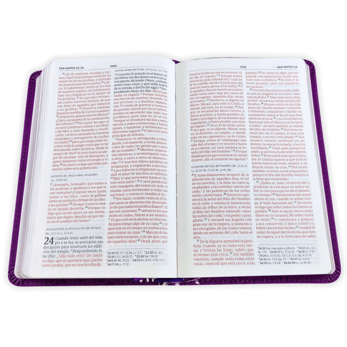 Biblia Reina-Valera 1960 (RVR60) Mis Quince