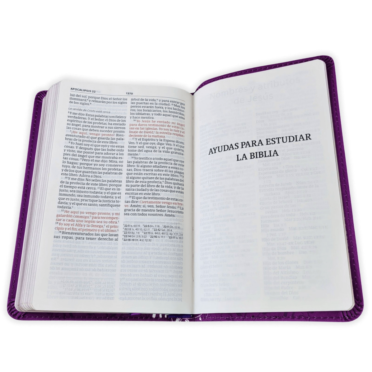 Biblia Reina-Valera 1960 (RVR60) Mis Quince