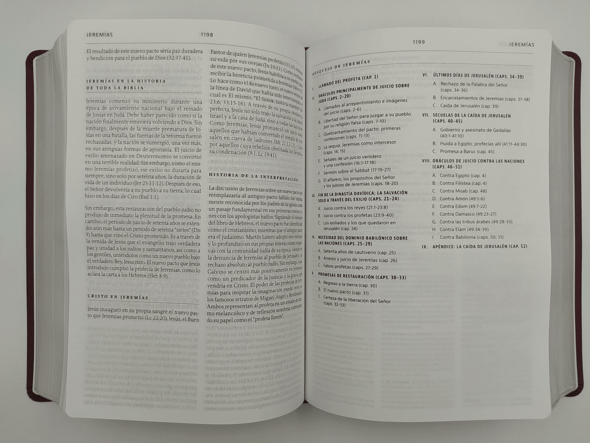 Biblia De Estudio De La Reforma LBLA Simil Piel Lila R. C. Sproul
