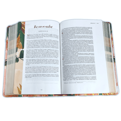 Biblia Devocional Centrada En Cristo, Tap Piel Estudio Mujer