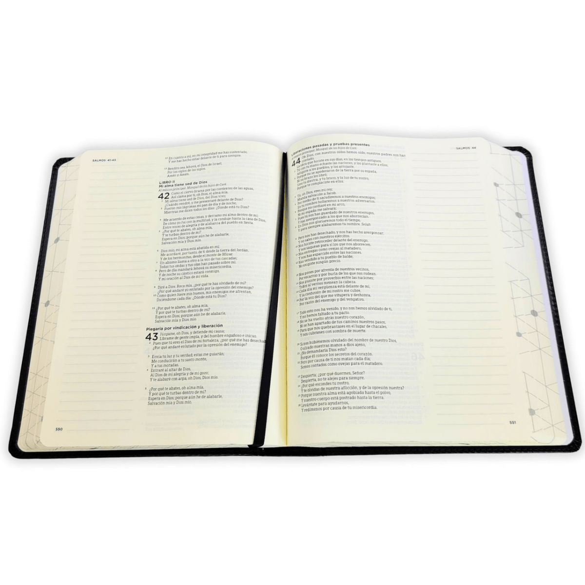 Biblia De Apuntes Color Negro Simil Piel