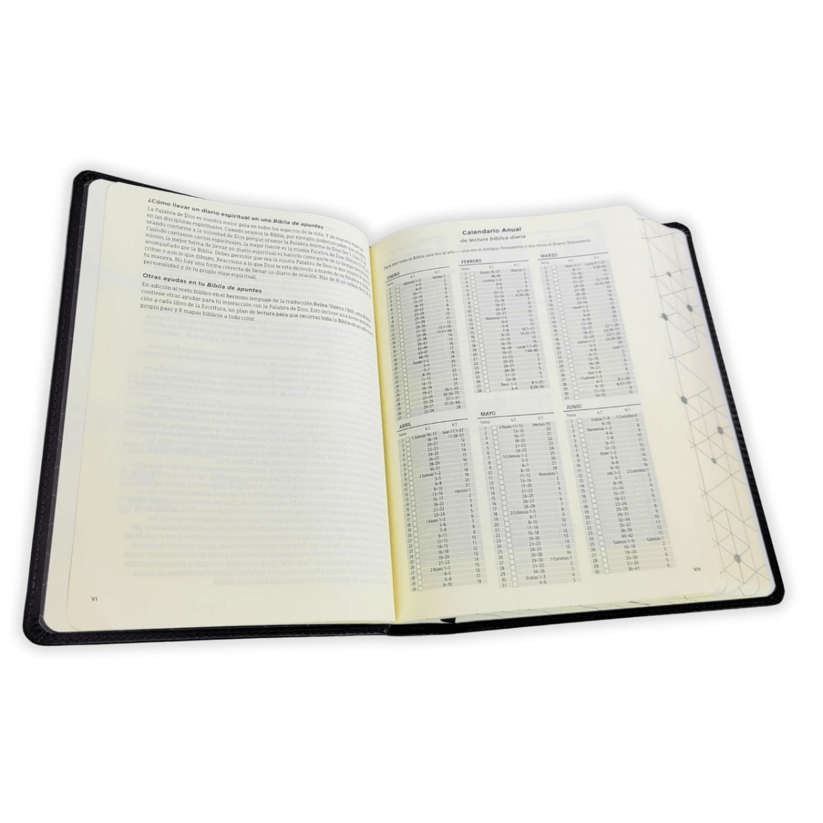Biblia De Apuntes Color Negro Simil Piel