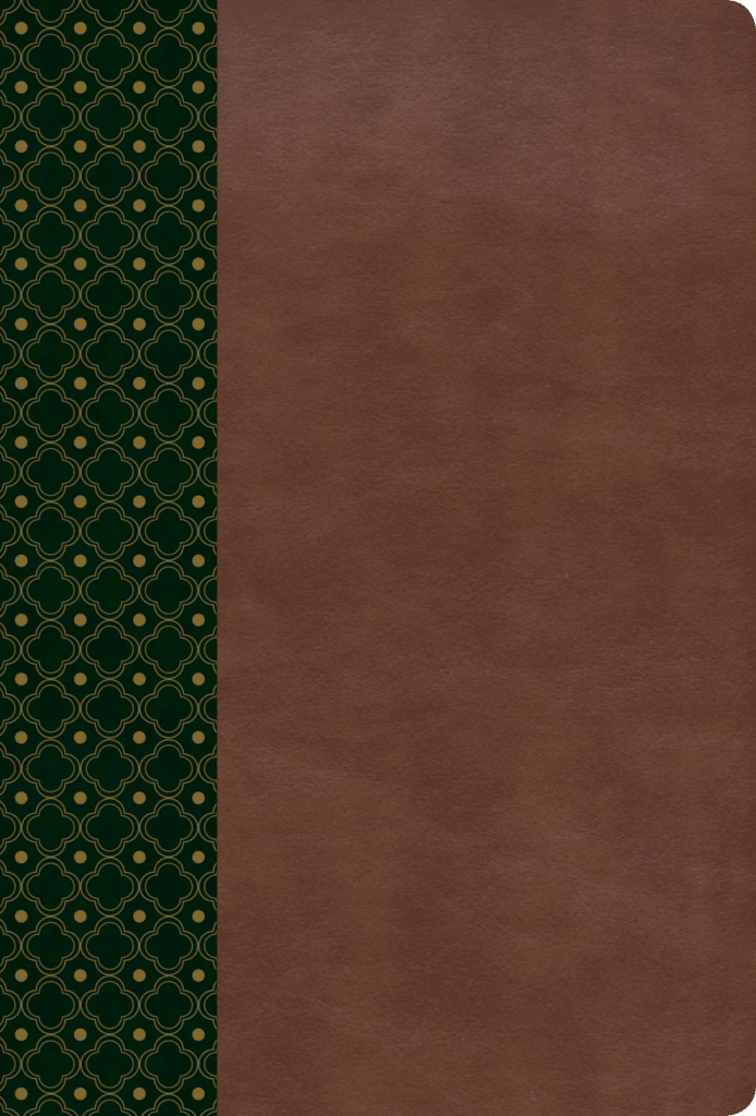Biblia De Estudio Scofield Verde Castaño Simil Piel