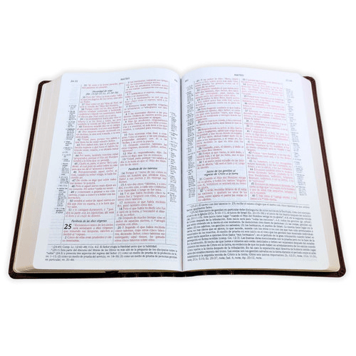 Biblia De Estudio Scofield Verde Castaño Simil Piel