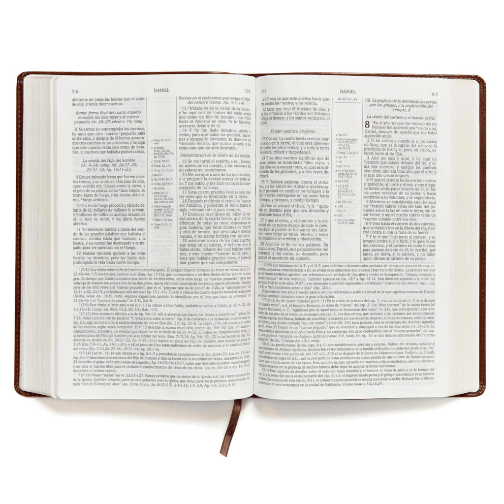 Biblia De Estudio Scofield Tapa Simil Piel Chocolate Reina Valera 1960