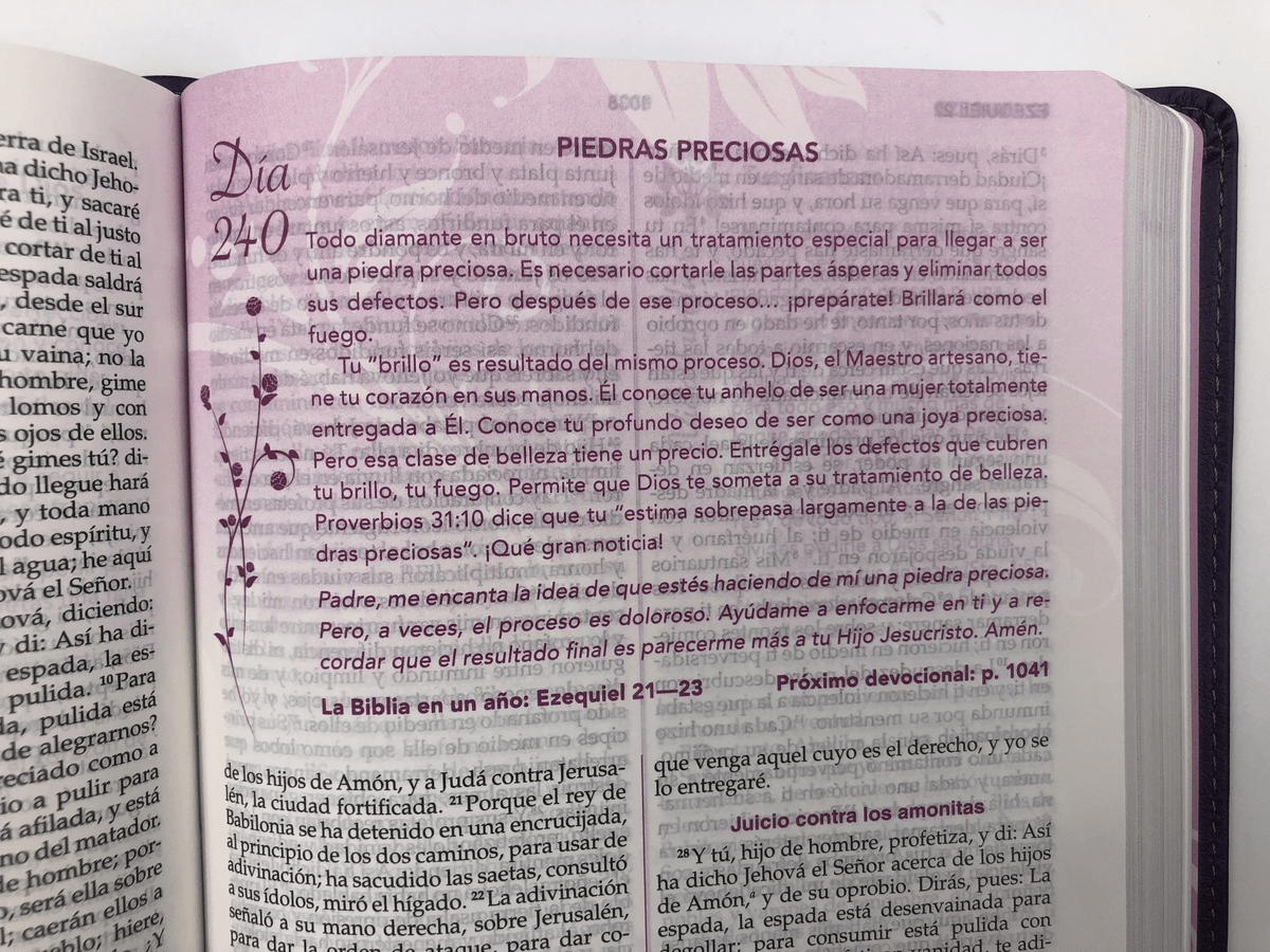 Biblia De Estudio De La Mujer Conforme Al Corazón De Dios Simil piel morado