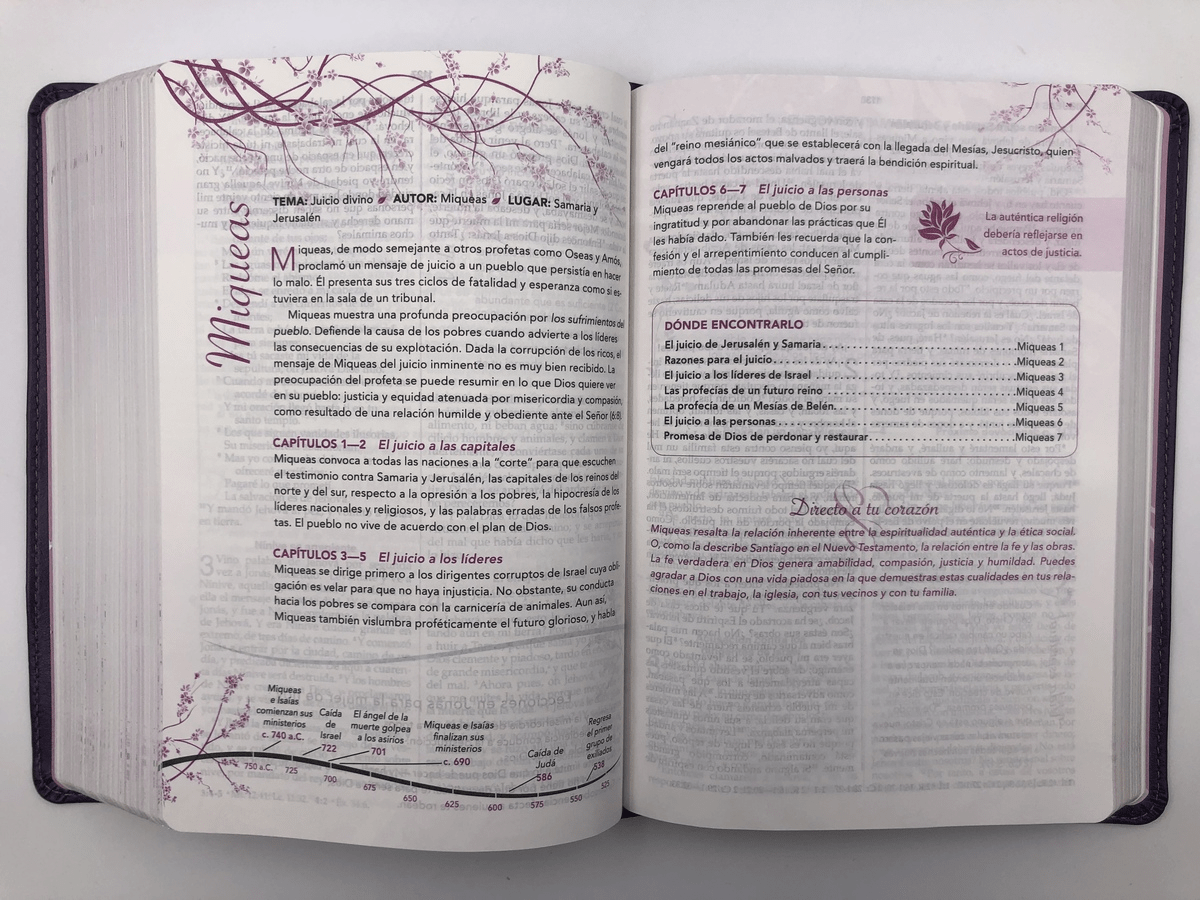 Biblia De Estudio De La Mujer Conforme Al Corazón De Dios Simil piel morado