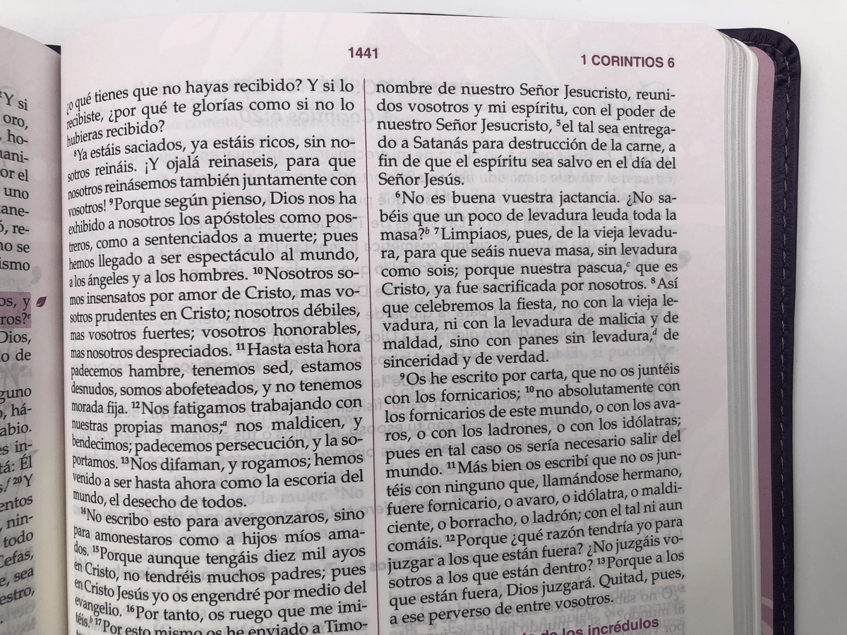 Biblia De Estudio De La Mujer Conforme Al Corazón De Dios Simil piel morado