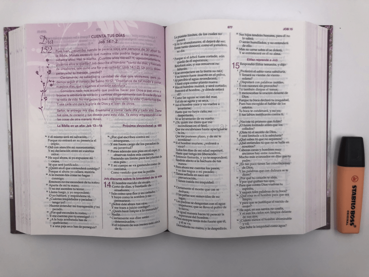 Biblia Estudio De La Mujer Conforme Al Corazón De Dios Tapa dura