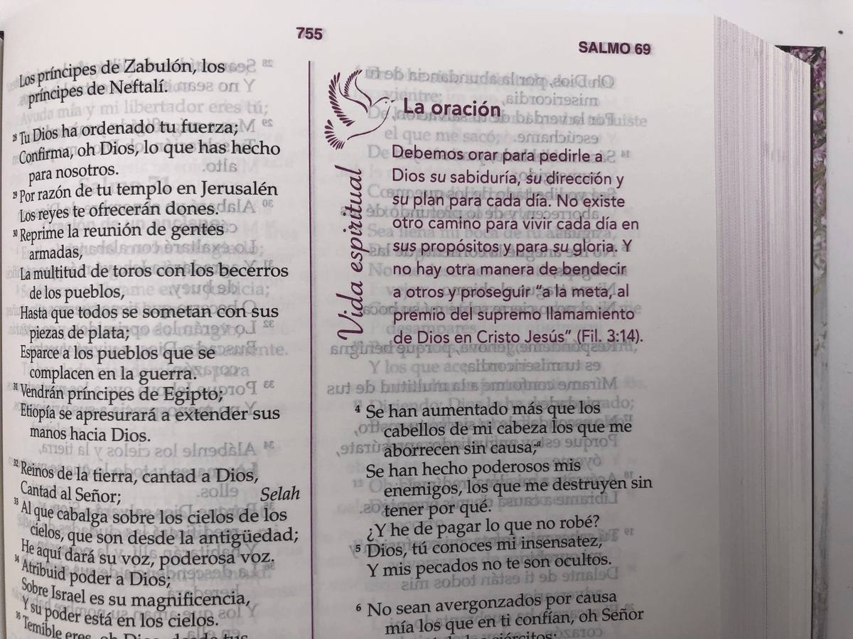 Biblia Estudio De La Mujer Conforme Al Corazón De Dios Tapa dura