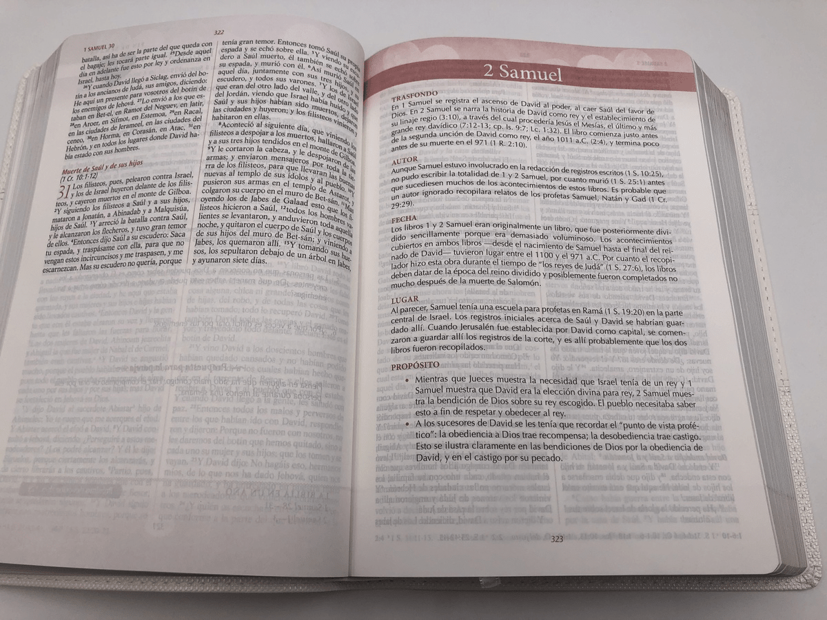 Biblia De Estudio Devocional Los Lenguajes Del Amor Simil piel Blanco