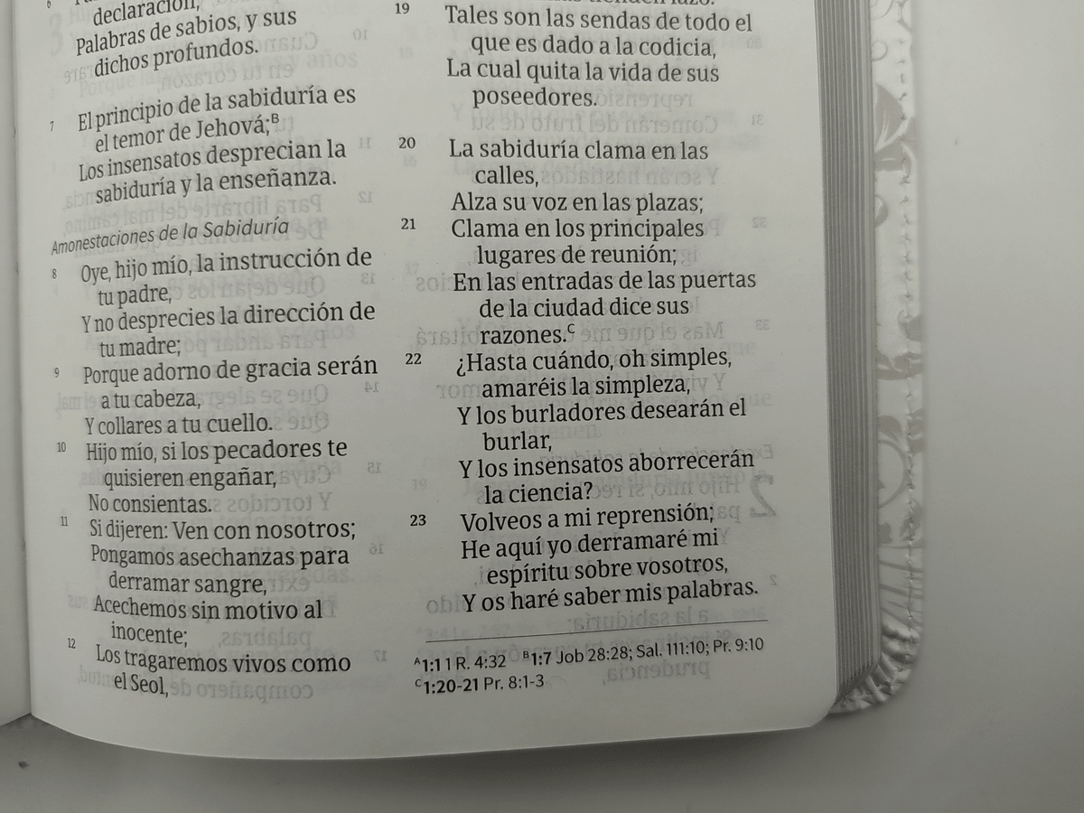 Biblia Reina Valera 1960 Mis Quince Rosa y Blanco Simil Piel
