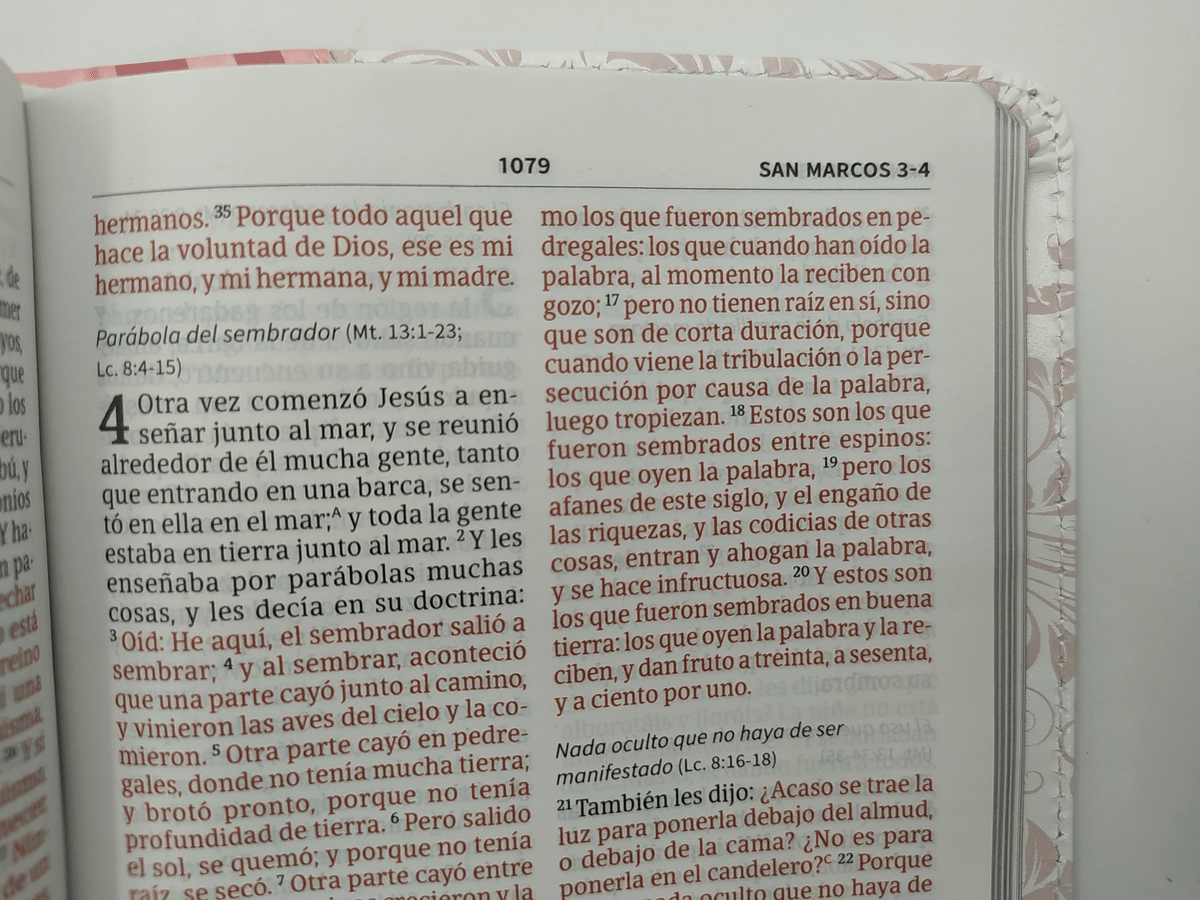 Biblia Reina Valera 1960 Mis Quince Rosa y Blanco Simil Piel