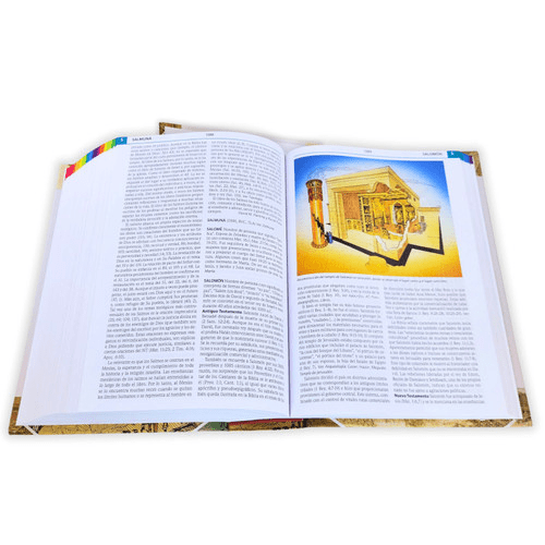 Diccionario Biblico Ilustrado Holman, Varios Autores Estudio