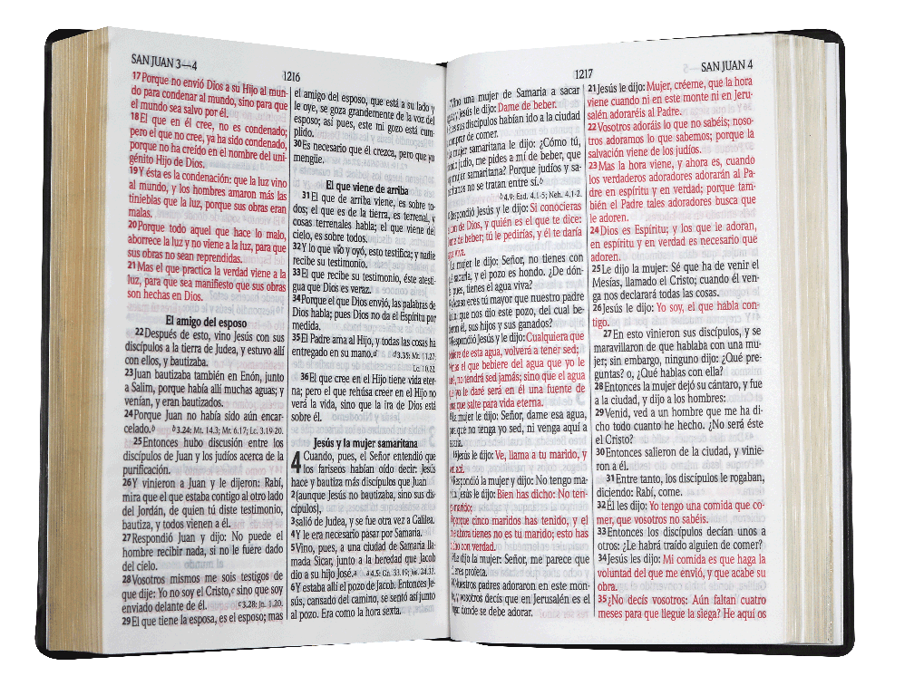 Biblia Reina Valera 1960 Letra Grande Pjr Concordancia Negro