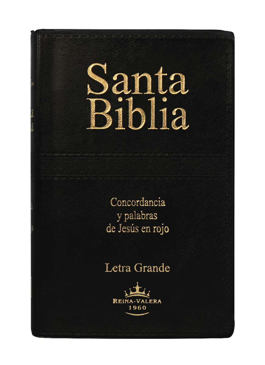 Biblia Reina Valera 1960 Letra Grande Pjr Concordancia Negro